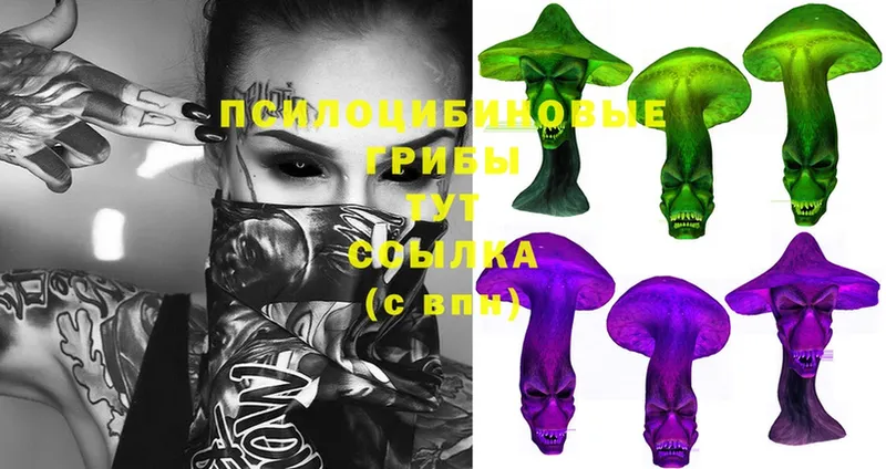 MEGA онион  Чита  Псилоцибиновые грибы Psilocybine cubensis 